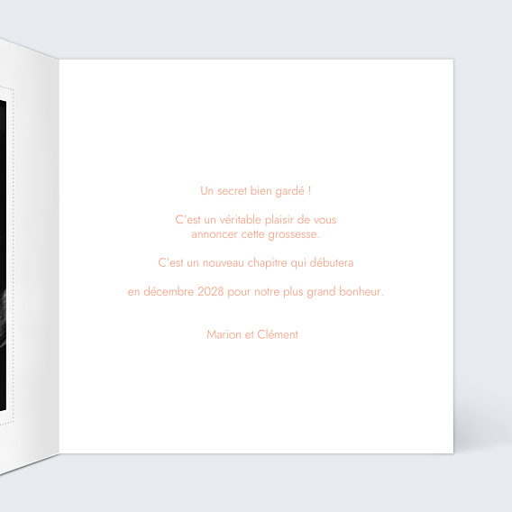 Carte Annonce Grossesse Petits Fruits