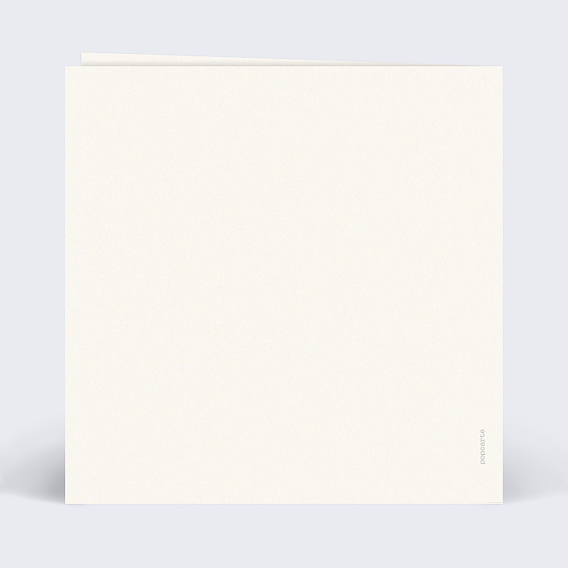 Carte annonce grossesse Confidences Verso