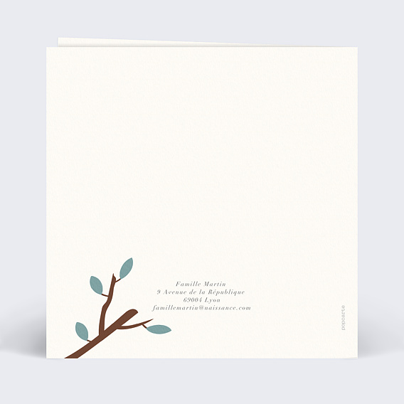 Carte annonce grossesse Amazonie Verso