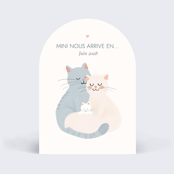 Carte Annonce Grossesse Mini nous