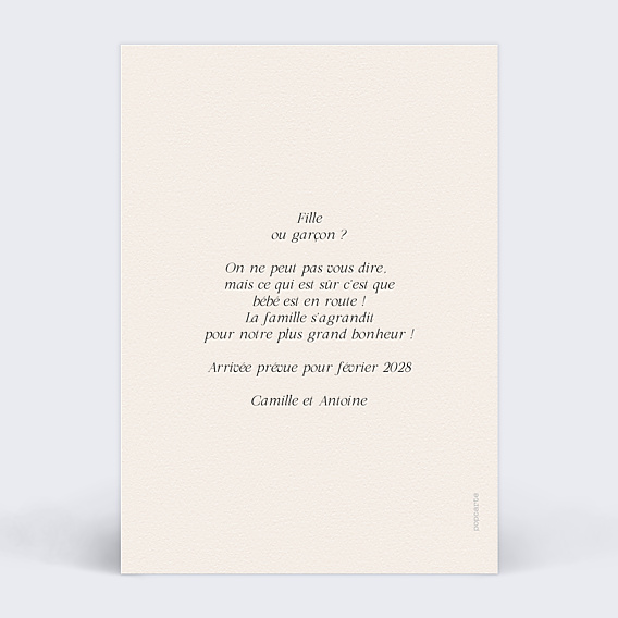Carte Annonce Grossesse Parchemin