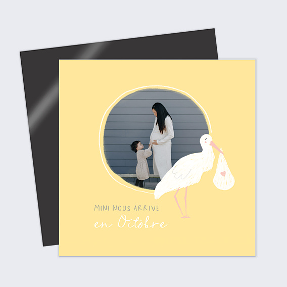 Carte Annonce Grossesse Cigogne Blanche