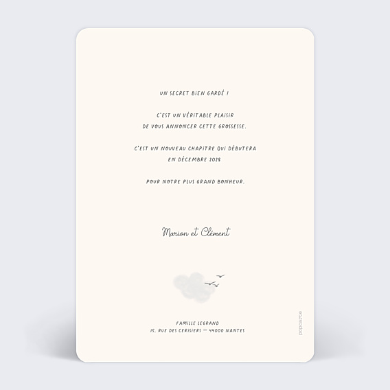 Carte Annonce Grossesse Frise Aventure