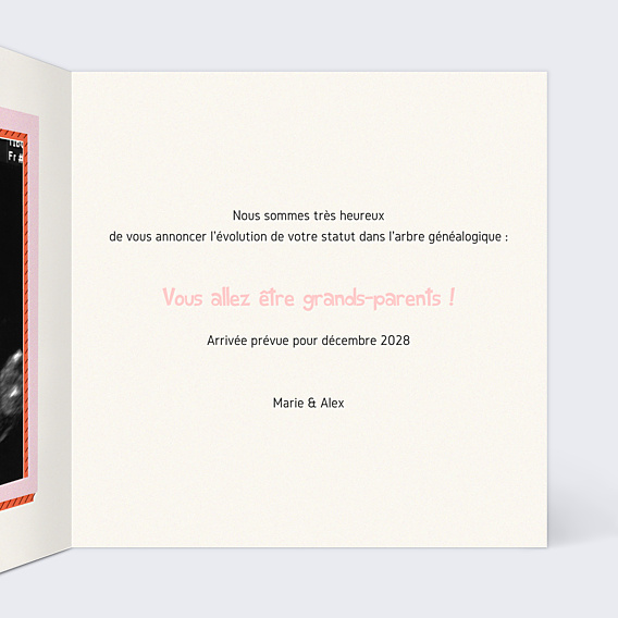 Carte Annonce Grossesse Confidences