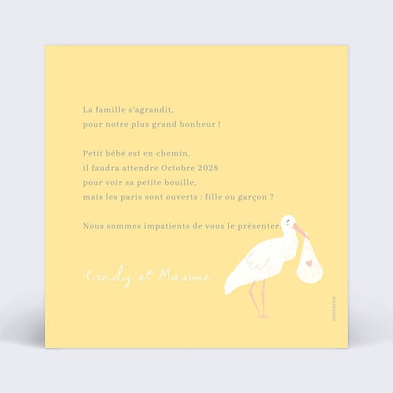 Carte Annonce Grossesse Cigogne Blanche