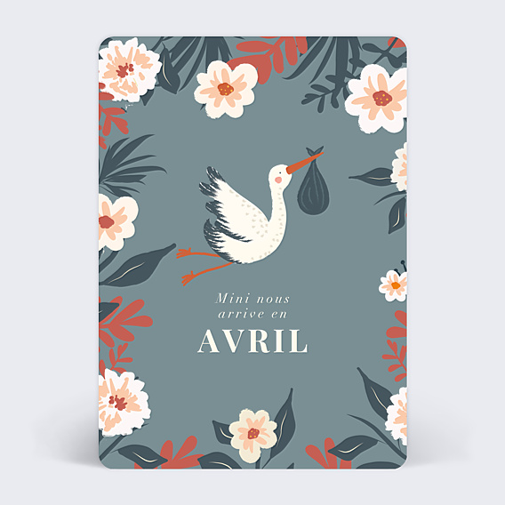 Carte Annonce Grossesse Petite Cigogne
