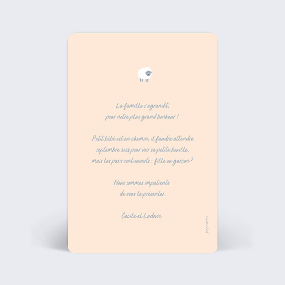 Carte annonce grossesse Humour Rébus Verso