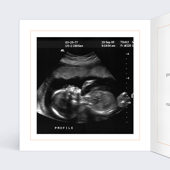 Carte annonce grossesse Petite Crevette Intérieur Gauche