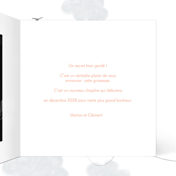 Carte annonce grossesse Petits Fruits Intérieur Droit