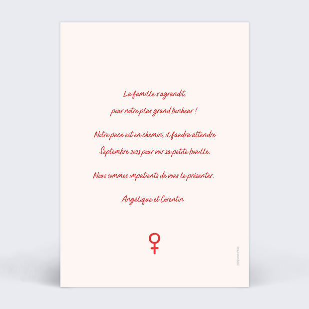 Carte Annonce Grossesse Gender Reveal Fille Verso