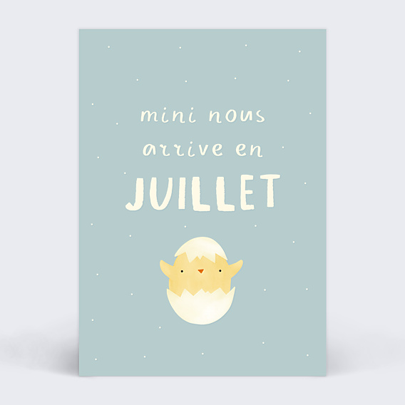 Carte Annonce Grossesse Poussin