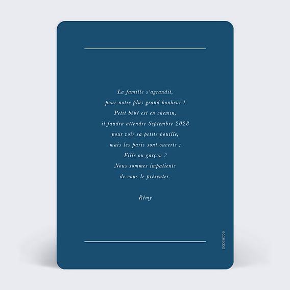 Carte Annonce Grossesse Baleineau