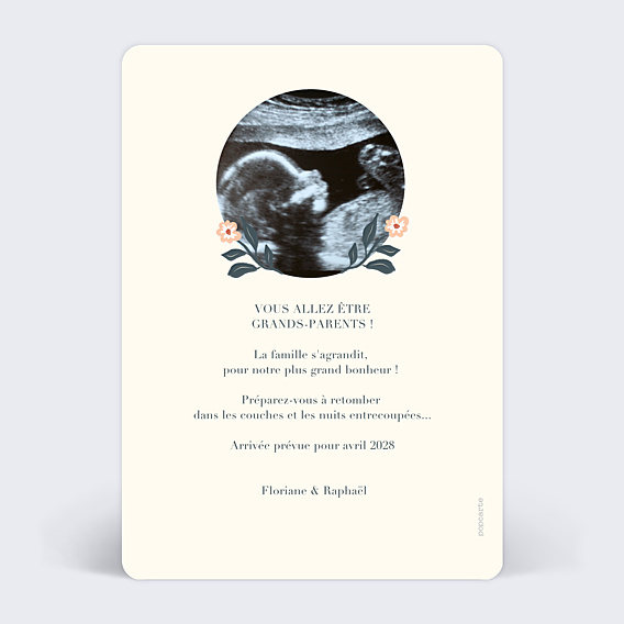 Carte Annonce Grossesse Petite Cigogne