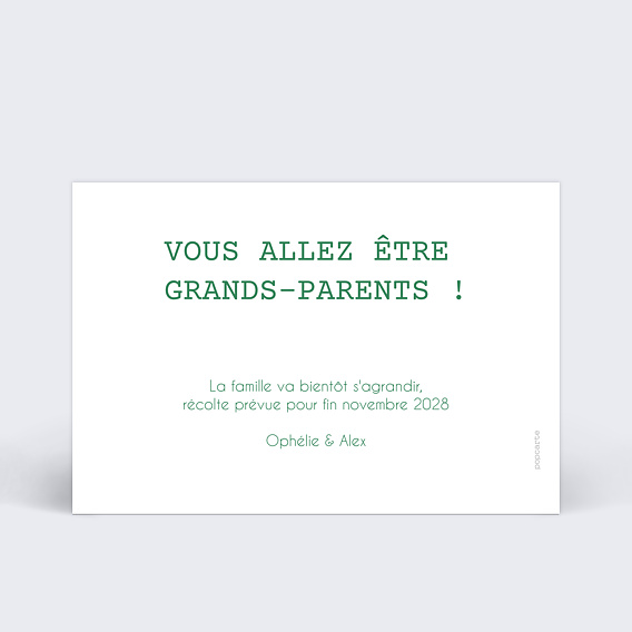 Carte annonce grossesse Salade Verso