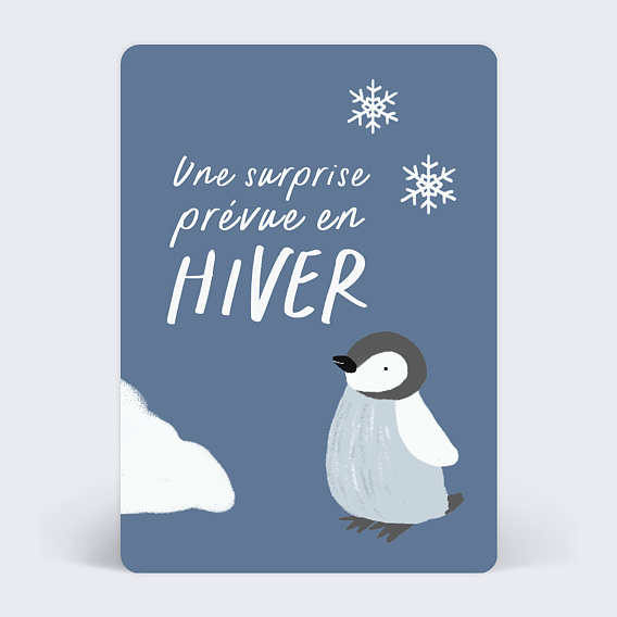Carte annonce grossesse Bébé Hiver Recto