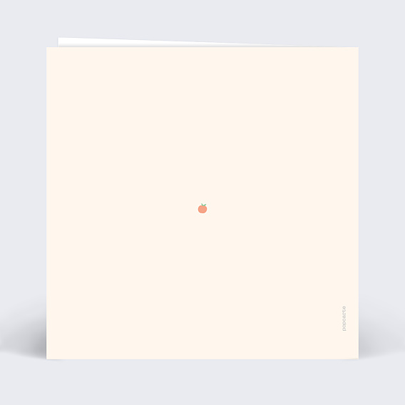 Carte annonce grossesse Petits Fruits Verso