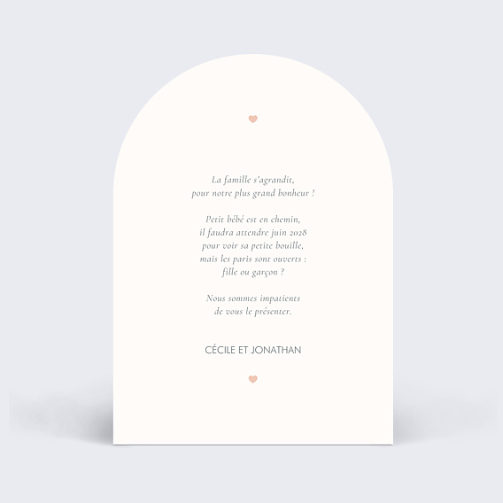 Carte annonce grossesse Mini nous Verso