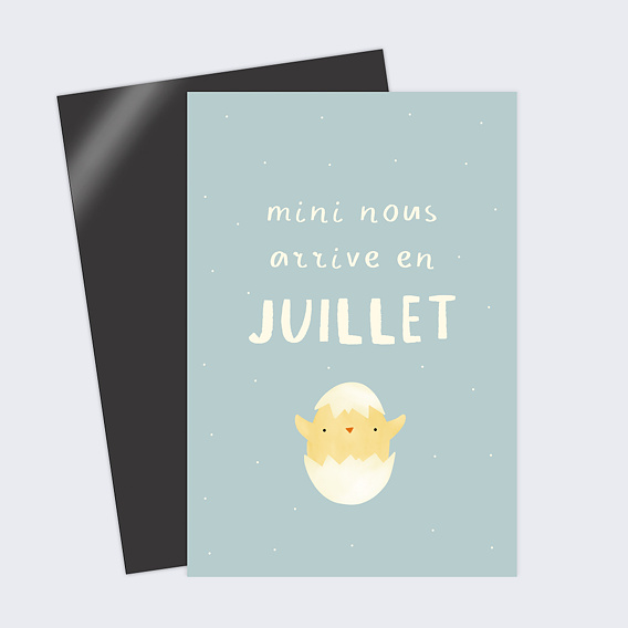 Carte annonce grossesse Poussin