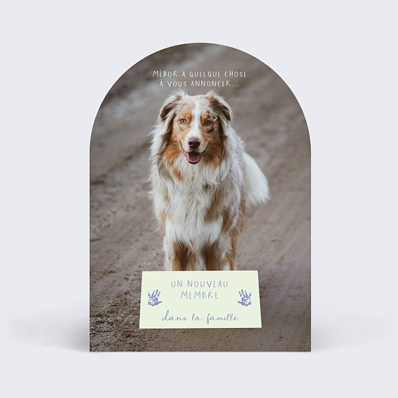 Carte annonce grossesse Nouveau Membre