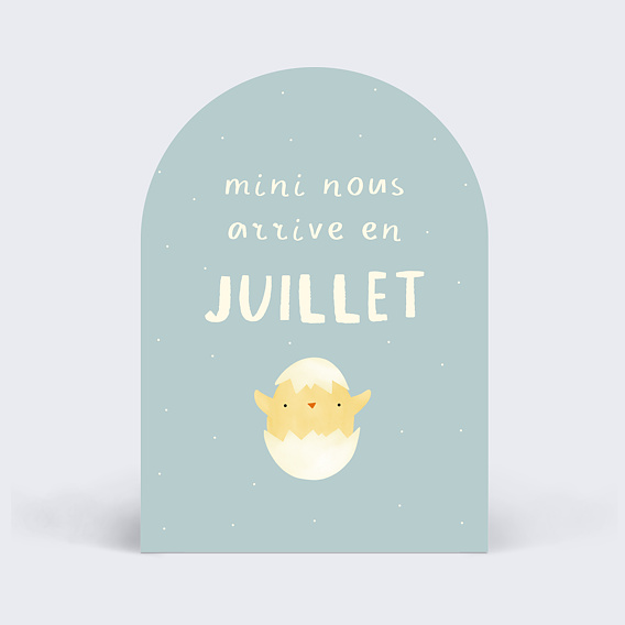 Carte annonce grossesse Poussin