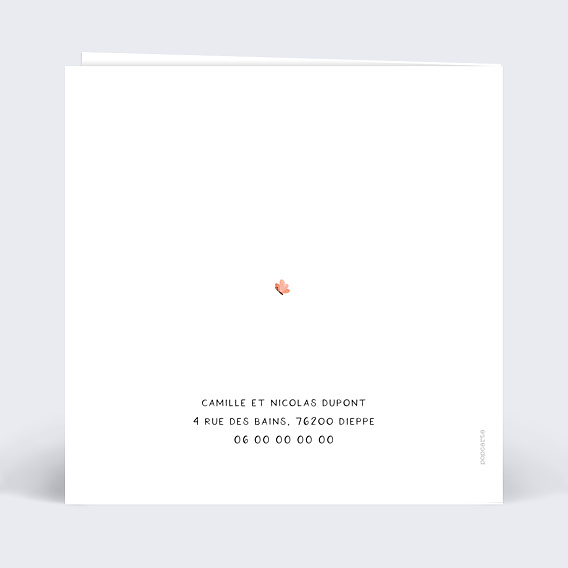 Carte Annonce Grossesse Couffin