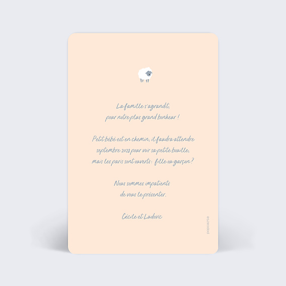 Carte Annonce Grossesse Humour Rébus