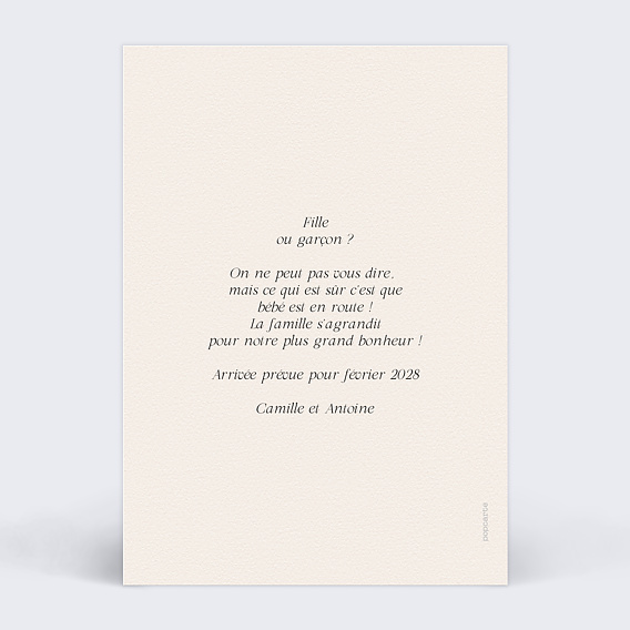 Carte Annonce Grossesse Parchemin