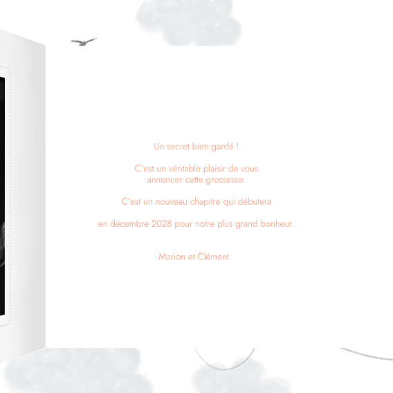 Carte Annonce Grossesse Petits Fruits