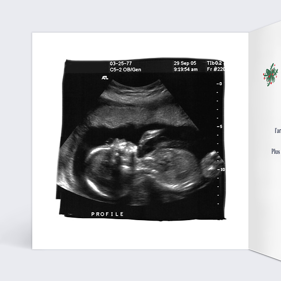 Carte annonce grossesse Poupées Russes Intérieur Gauche