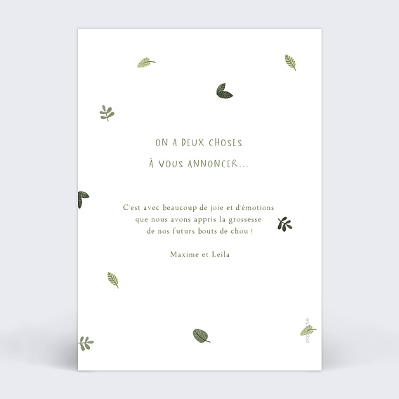 Carte annonce grossesse Petits Lions Jumeaux Verso