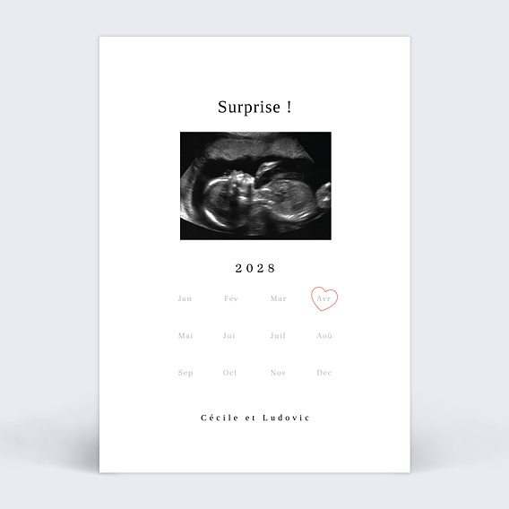 Carte annonce grossesse Calendrier Naissance Recto