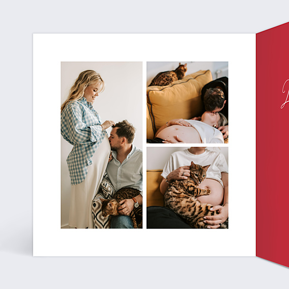 Carte Annonce Grossesse Photo Coeur
