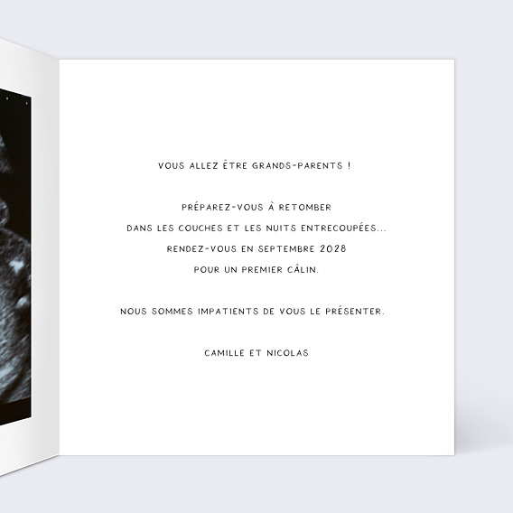 Carte annonce grossesse Couffin Intérieur Droit