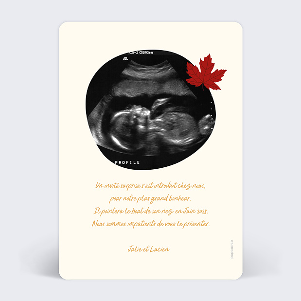 Carte Annonce Grossesse Bébé Automne Verso