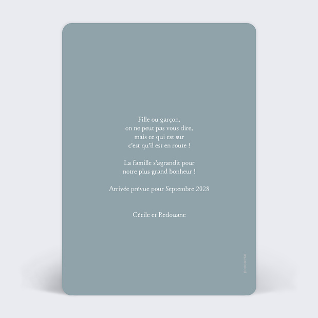 Carte Annonce Grossesse Échographie Originale Verso