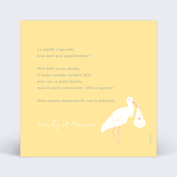 Carte annonce grossesse Cigogne Blanche Verso