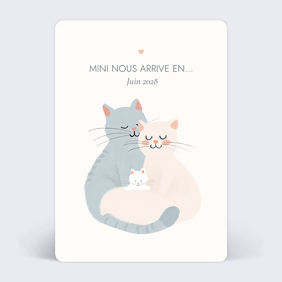 Carte annonce grossesse Mini nous