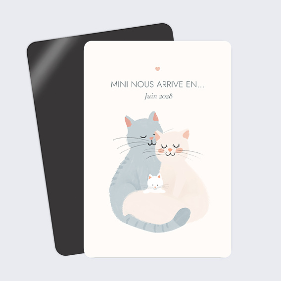 Carte Annonce Grossesse Mini nous