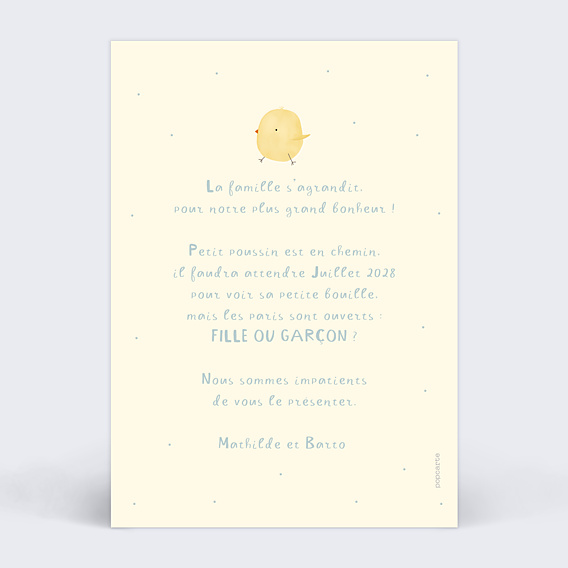 Carte Annonce Grossesse Poussin