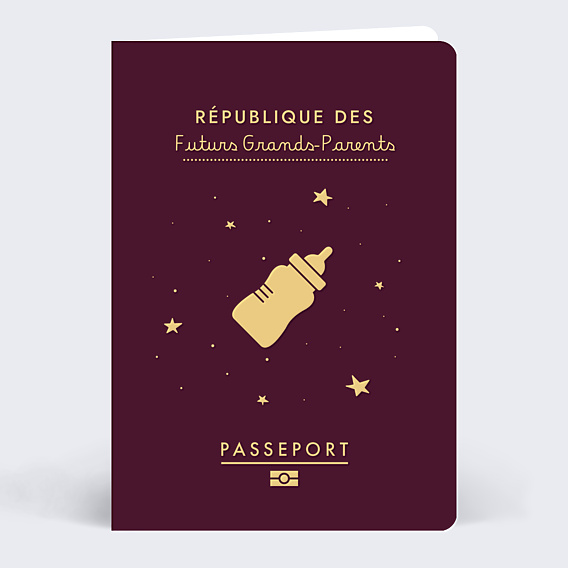 Carte Annonce Grossesse Passeport