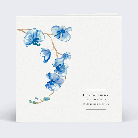 Carte de Condoléances Fleurs bleues