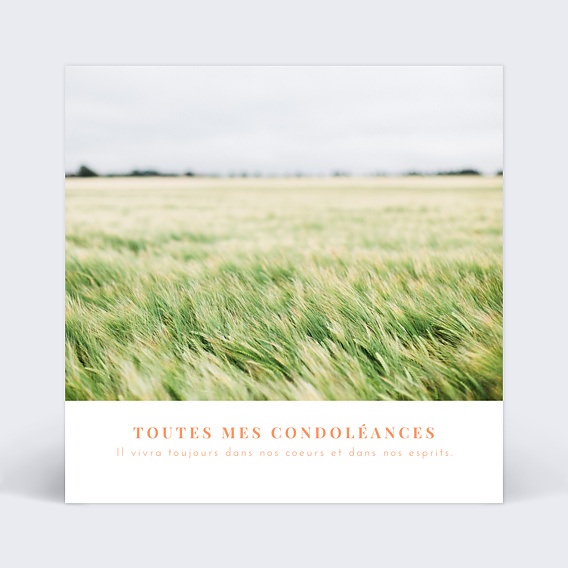 Carte de condoléances Simplicité Recto