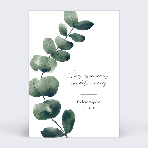 Carte de condoléances Branche d'Eucalyptus
