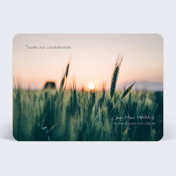 Carte de condoléances Champs