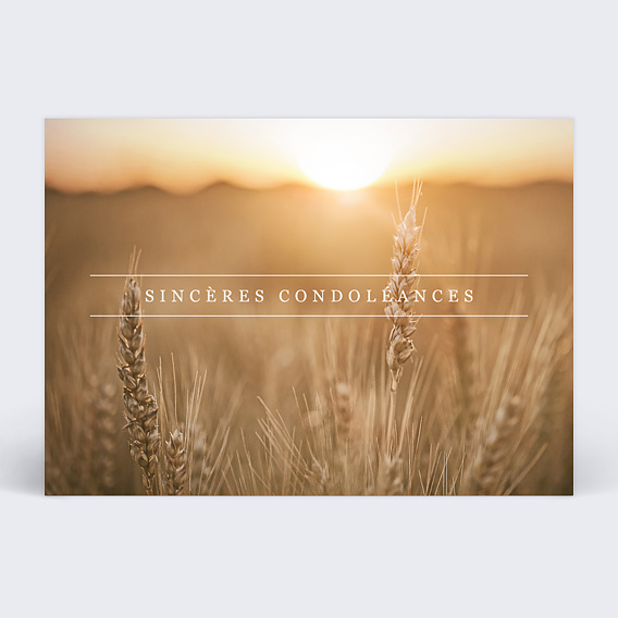 Carte de condoléances Blé photo Recto
