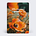 Carte de Condoléances Poppies