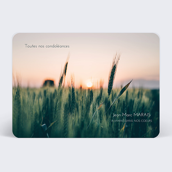 Carte de Condoléances Champs