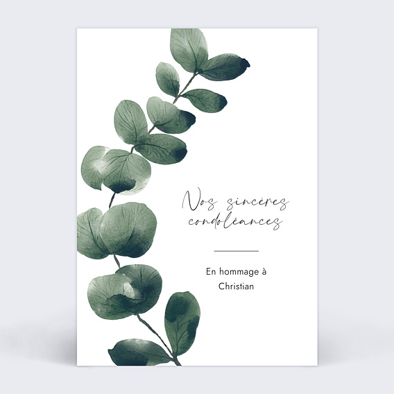 Carte de Condoléances Branche d'Eucalyptus