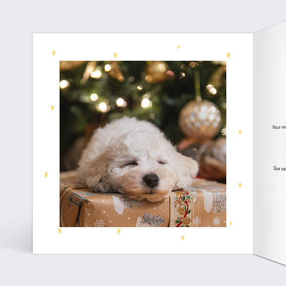 Carte de Noël  Petites boules colorées Intérieur Gauche