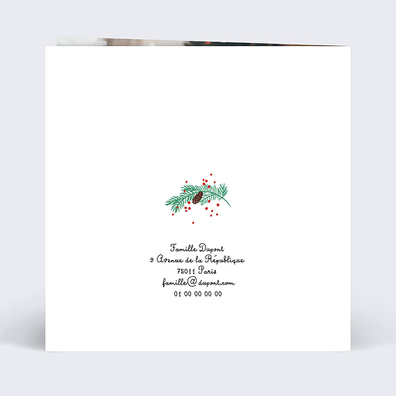 Carte de Noël  Double Pola Pommes de Pin  Verso